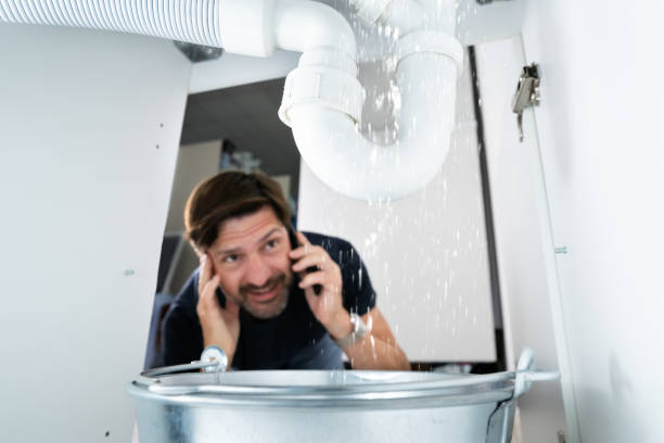 Best Local Plumber Services  in Delevan, NY